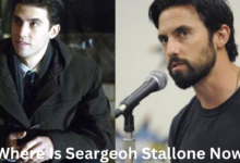 Where Is Seargeoh Stallone Now