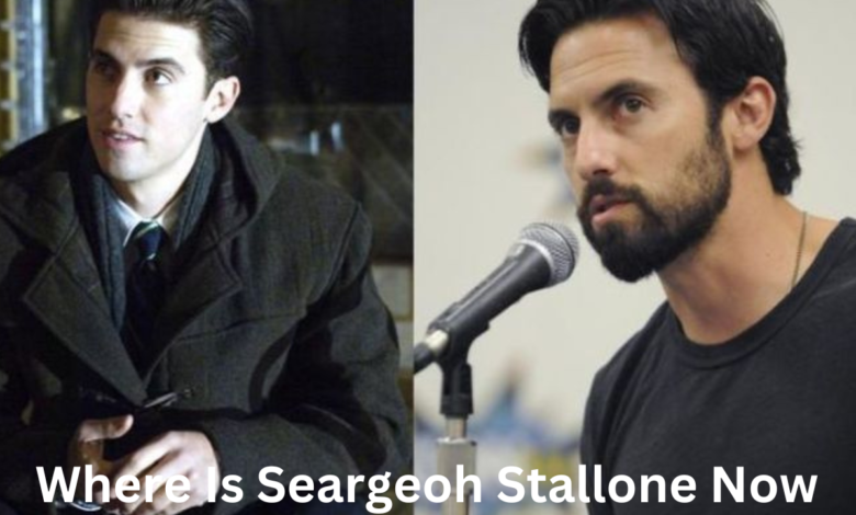 Where Is Seargeoh Stallone Now