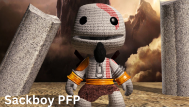 Sackboy PFP