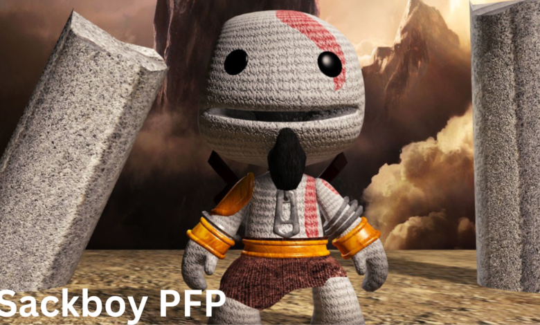 Sackboy PFP