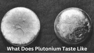 What Does Plutonium Taste Like? The Science, Myths, and Reality Behind One of the Most Dangerous Elements on Earth 9 What Does Plutonium Taste Like