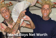 Island Boys Net Worth