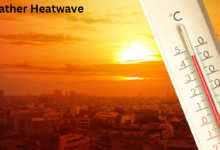 Weather Heatwave