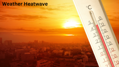 Weather Heatwave